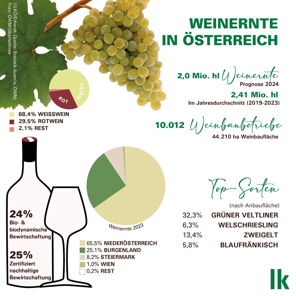 Wein