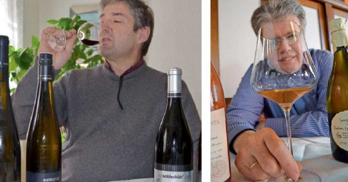 Weinbau – was ist nun was?