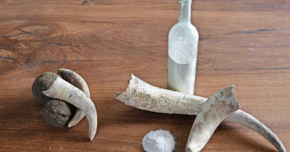 Weinbau – was ist nun was? – Teil 2