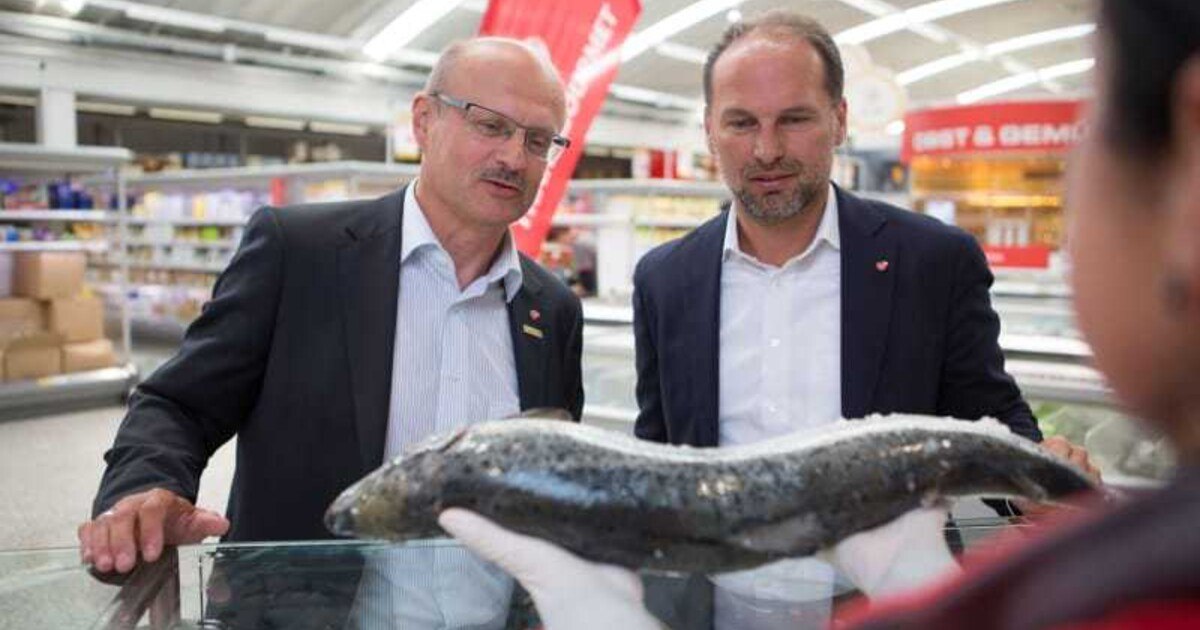 Transgourmet baut Fischkompetenz aus