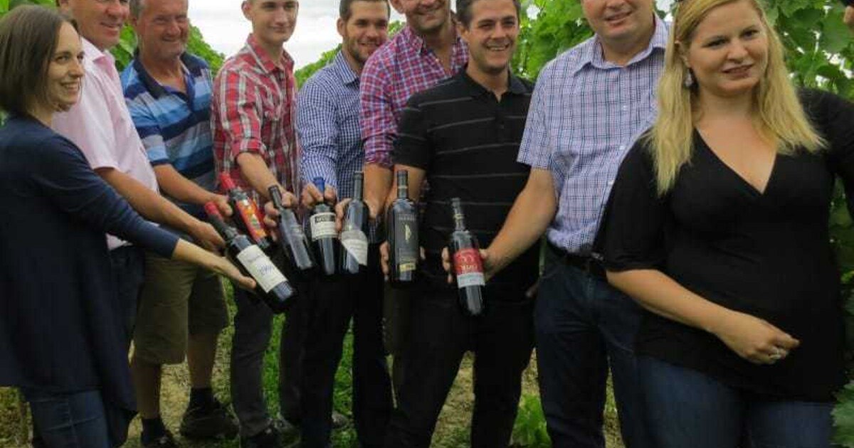 Blaufränkisch total in Lutzmannsburg