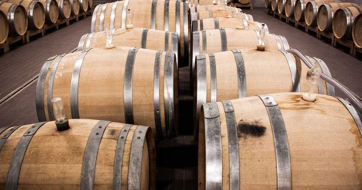 Best of Bio-Weine gekürt