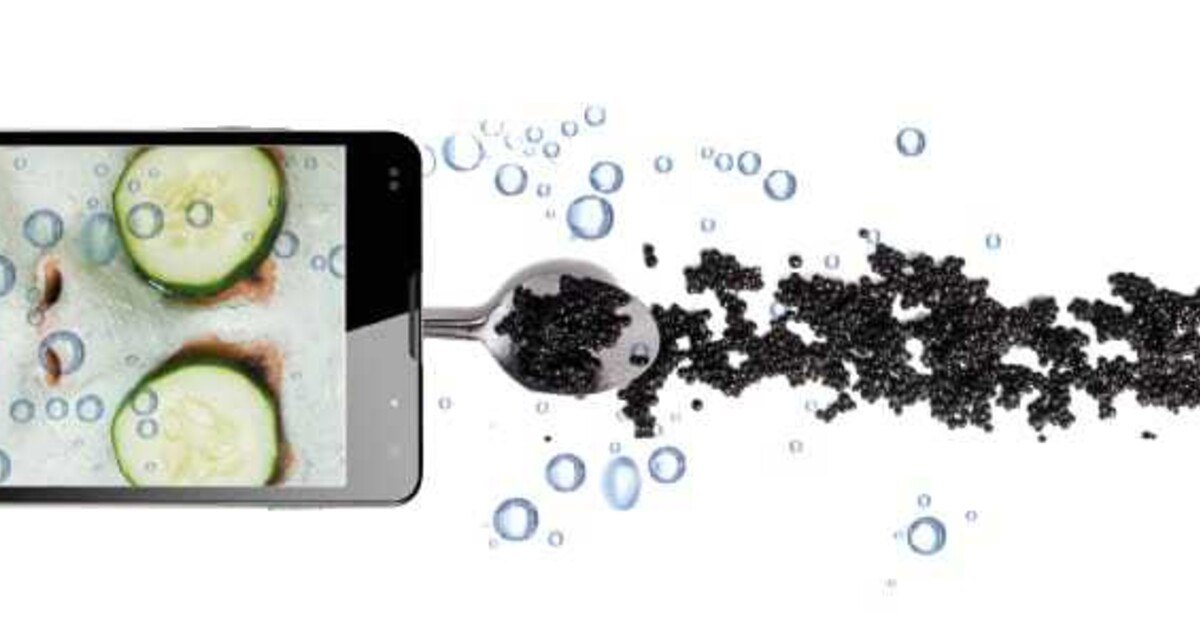 Wahn und Sinn der Digitalisierung: ein Essay