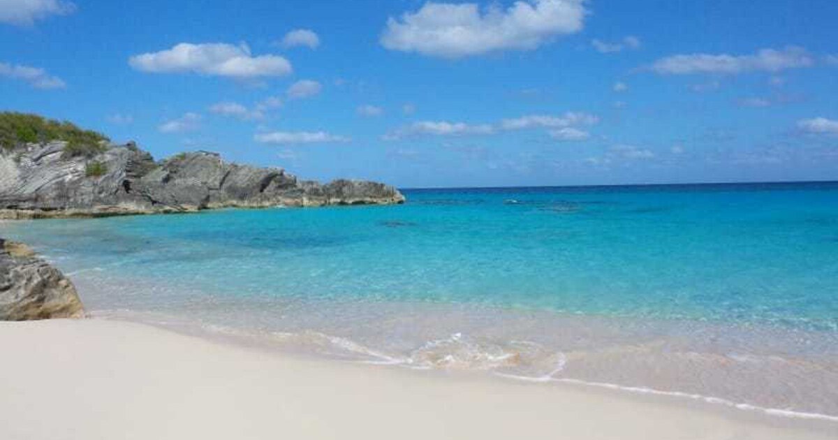 Traumjob auf den Bermudas: Wer will Auslandserfahrung sammeln?