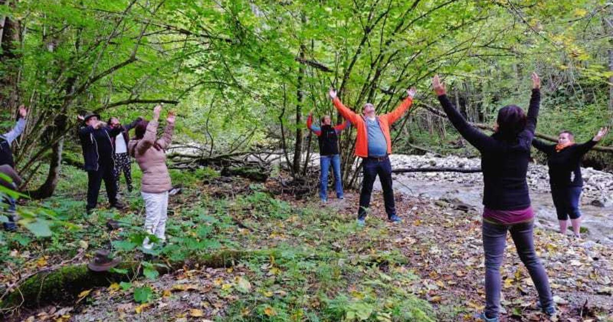 Almtal goes Waldness