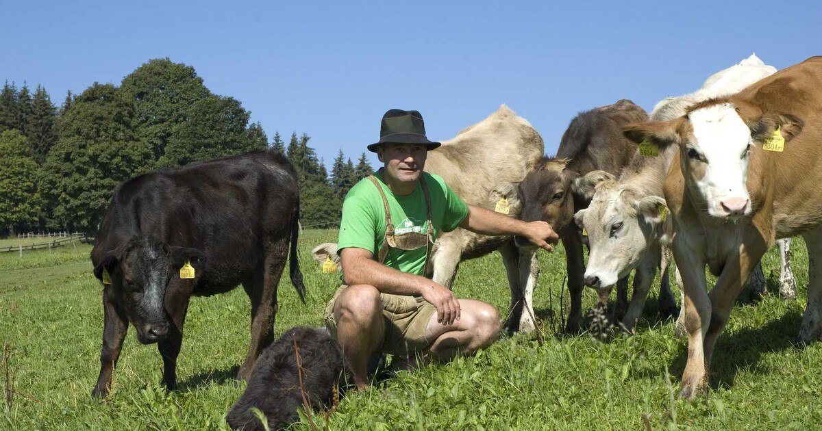 Kontroverse: Regionalität allein genügt nicht!