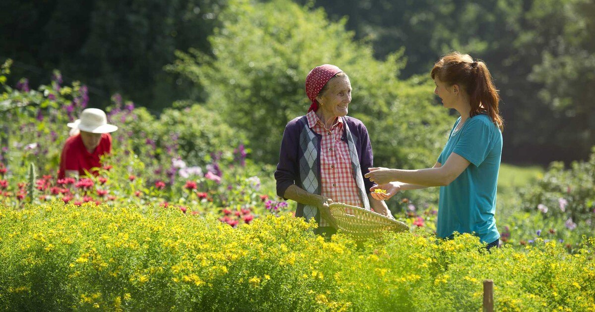 Kärntens Slowfood wächst