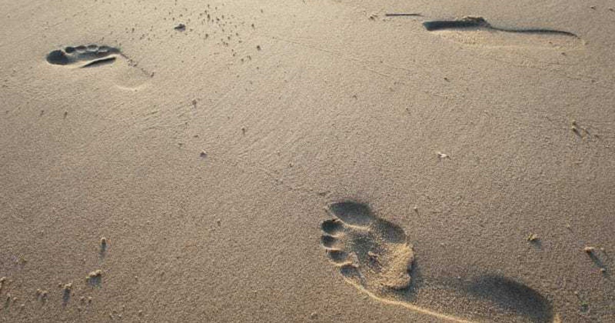 Der Fußabdruck beim Essen und Trinken