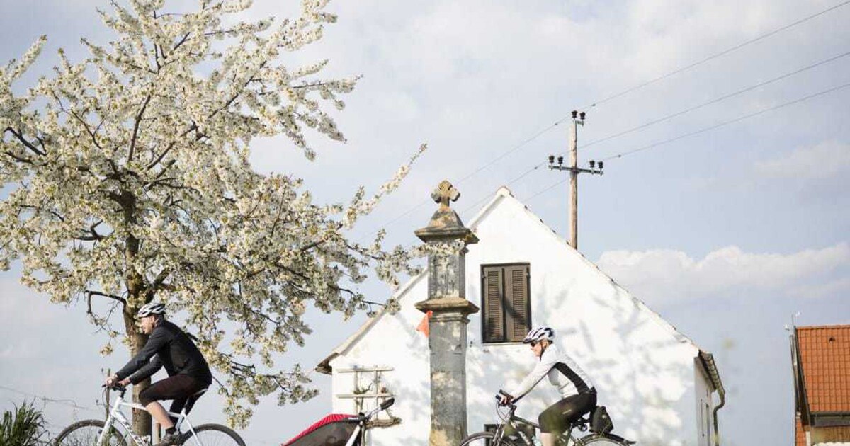 Vom Radtourismus profitieren alle