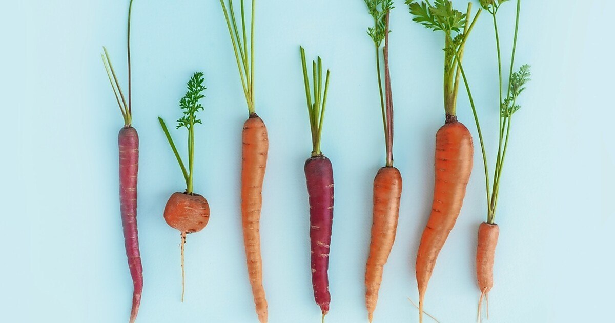 Aus der Krise gastronomisch lernen
