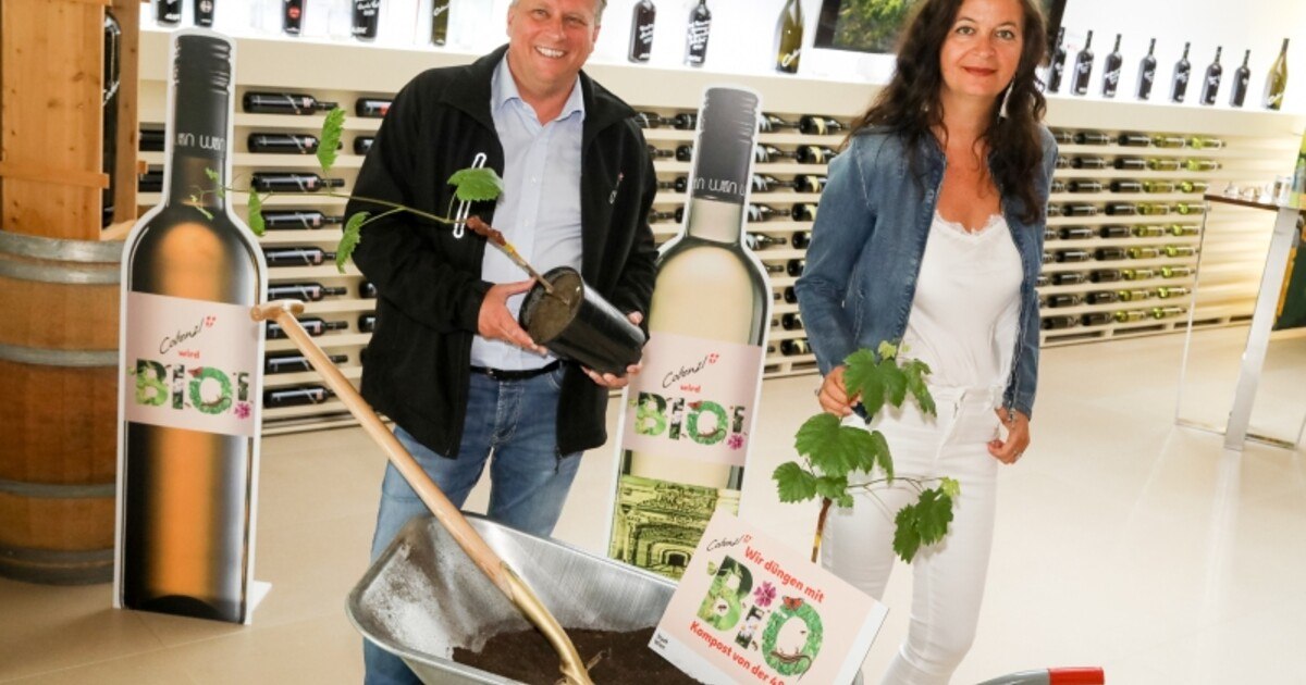 Cobenzl-Wein wird bio