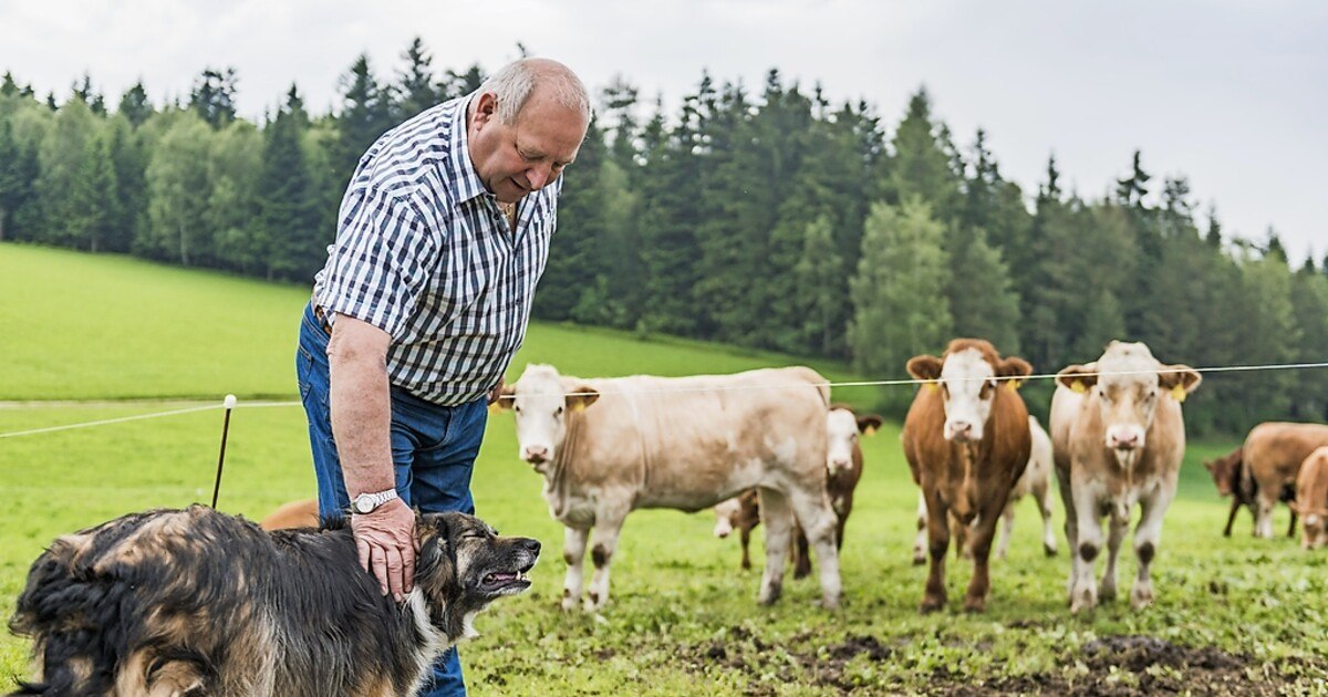 Transgourmet erweitert heimisches Frischfleisch-Sortiment
