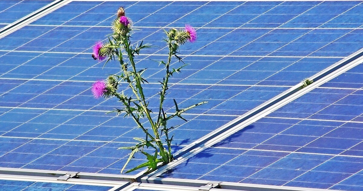 Mehr Nachhaltigkeit? Umfrage unter Hoteliers