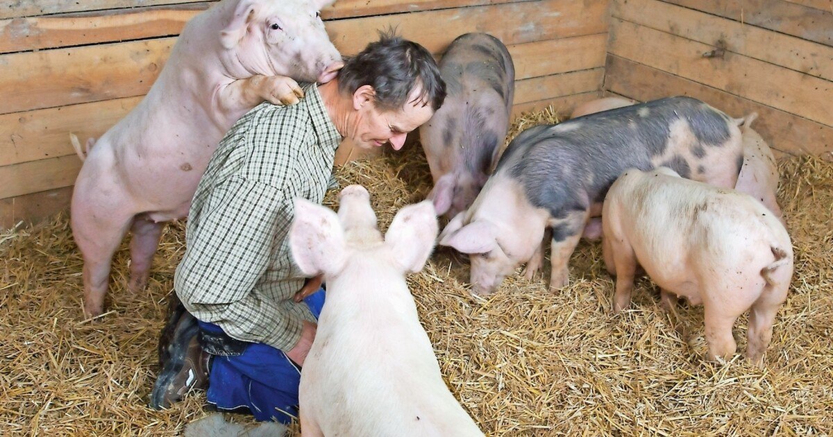 Auch so kann man Tiere halten