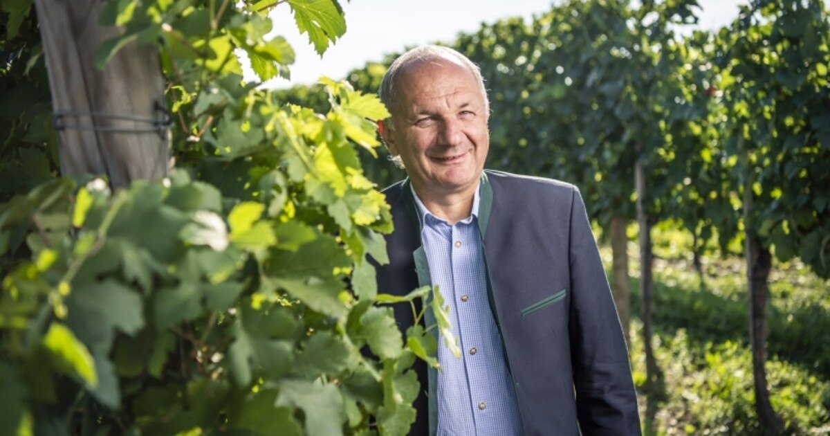 Winzer Krems hat einen neuen Vorstandsvorsitzenden