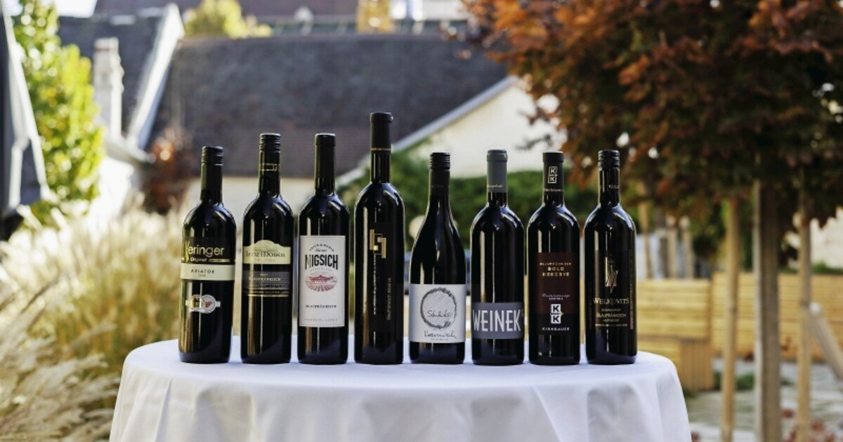 Wo der Blaufränkisch regiert