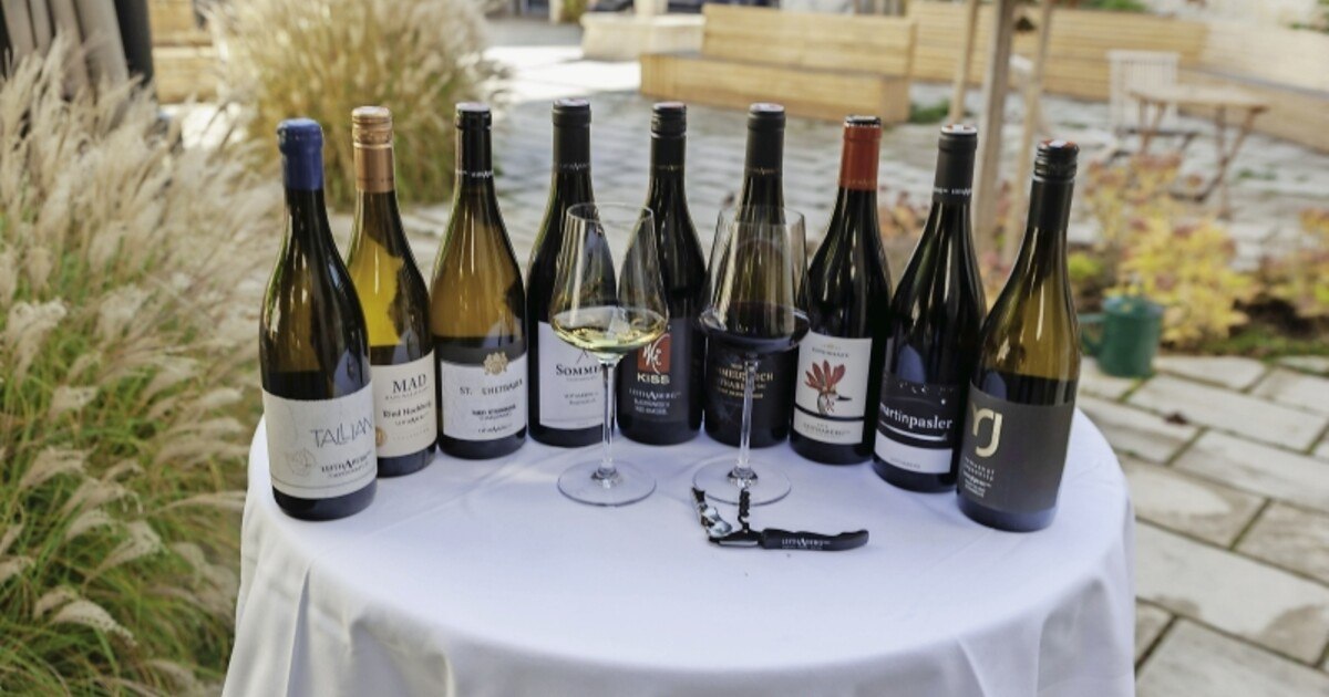 ÖGZ-Verkostung: Leithaberg-Weine