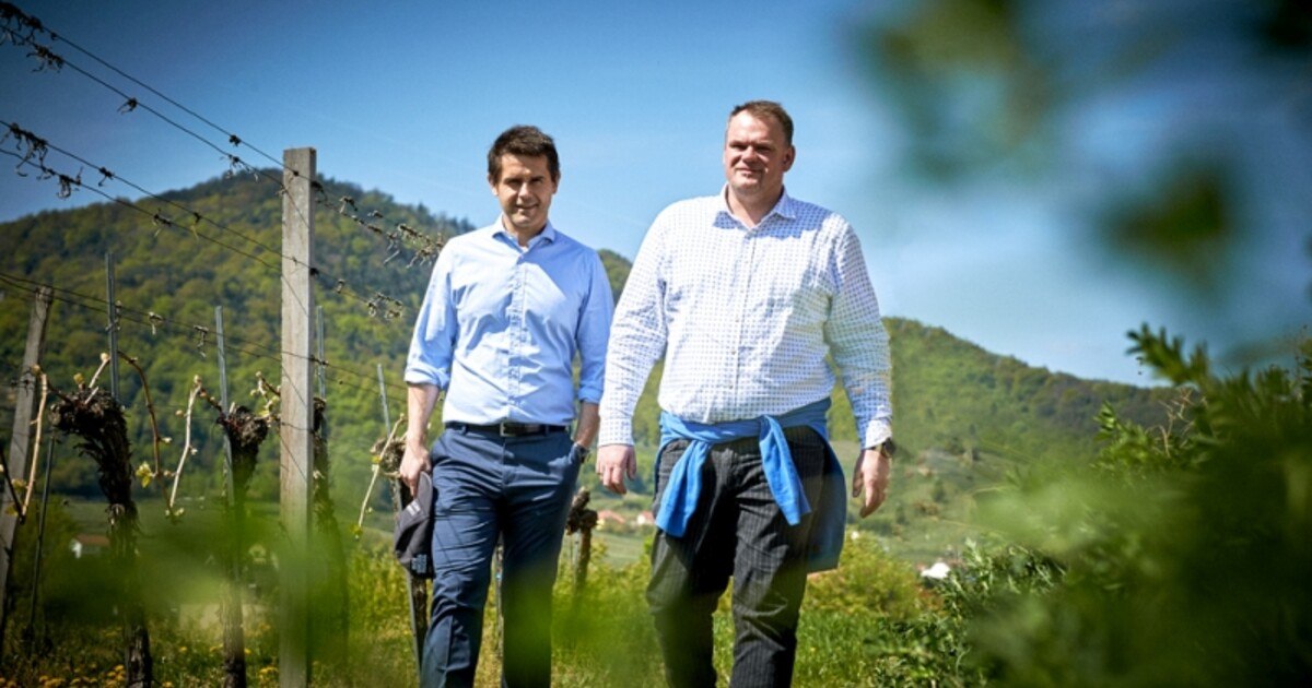 Domäne Wachau: Topbewertungen im „Wine Enthusiast“