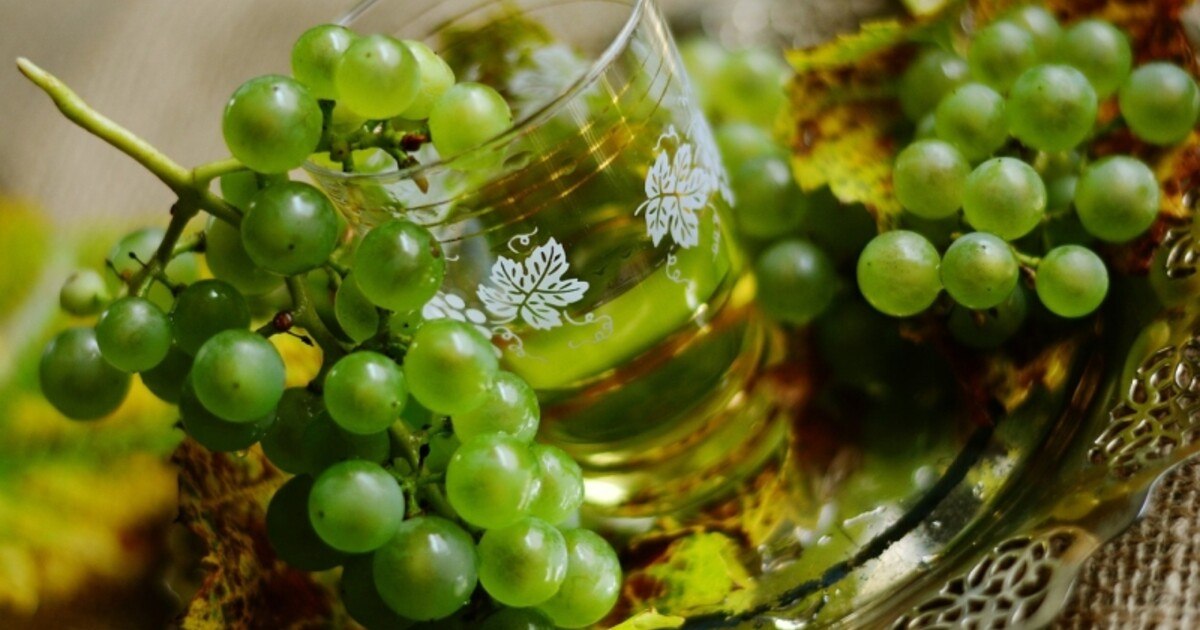 Trinkfreude-Test: Schankwein & Muskateller