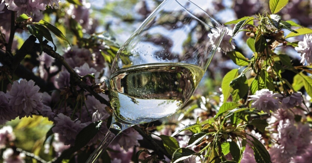 ÖGZ-Verkostung: Frühlingsweine