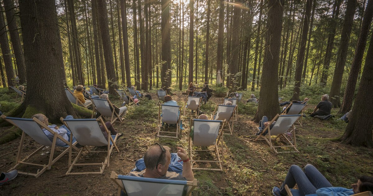 Der Juli steht im Zeichen des Schrammel.Klang.Festival