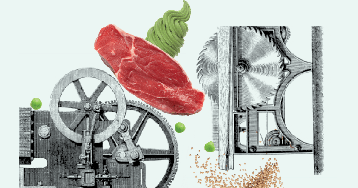 Was essen wir morgen?