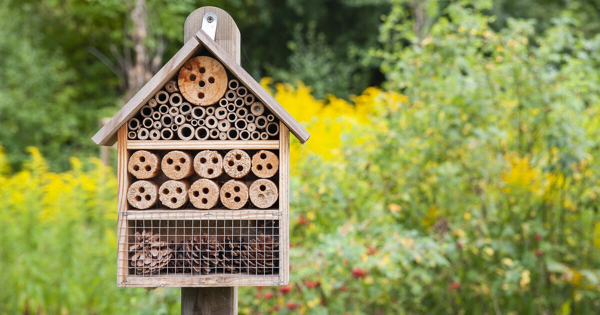 Hotels: Wird alles wirklich grün?