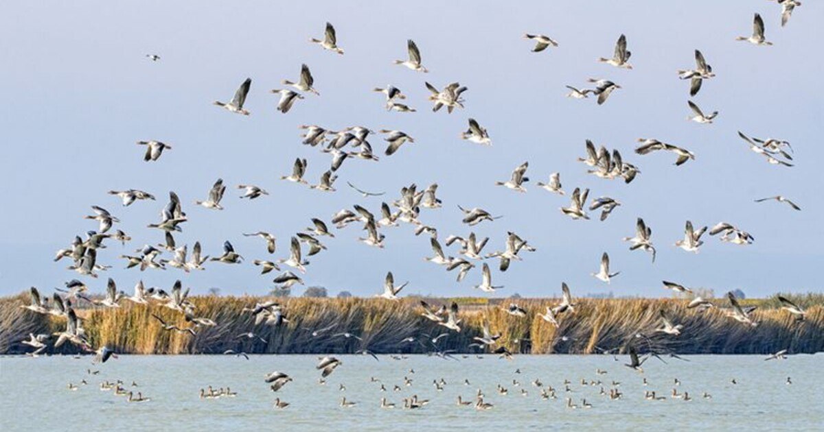 Stunk im Naturparadies