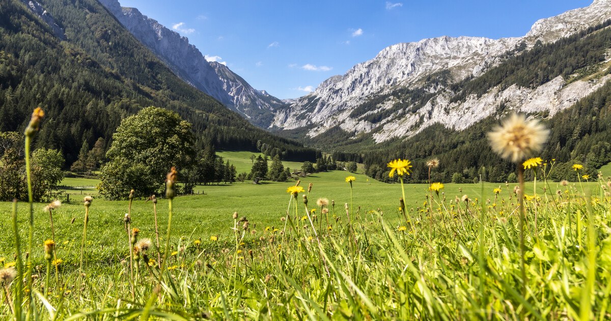 Steiermark und Burgenland sind Gewinner im Corona-Sommer
