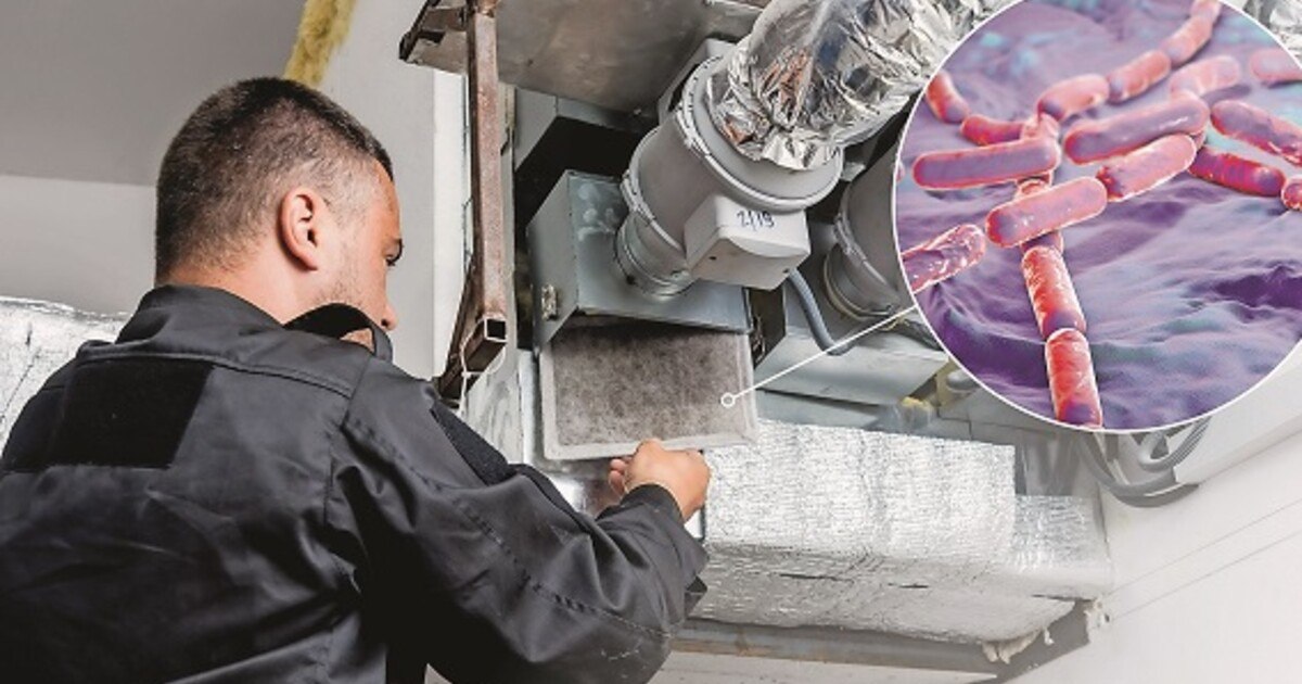 5 Tipps für gesunde Raumluft