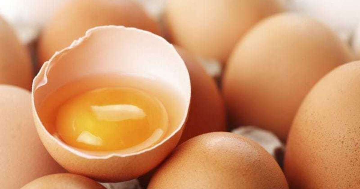 Gesunde Eier und Tiere