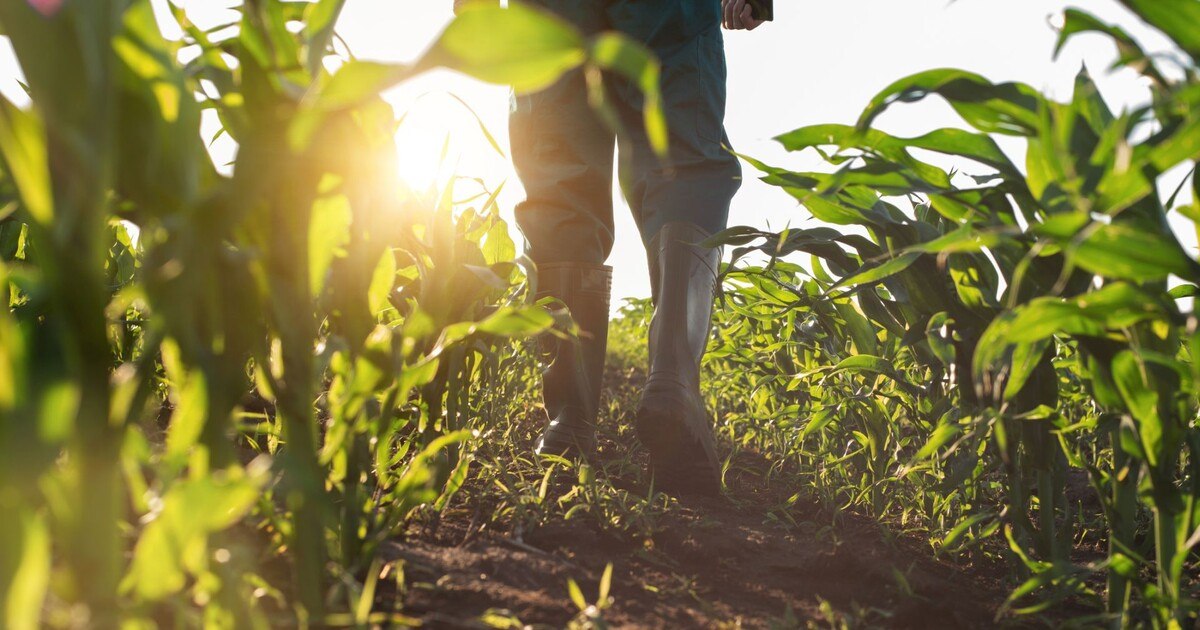 AMA-Gesetzesnovelle beschlossen