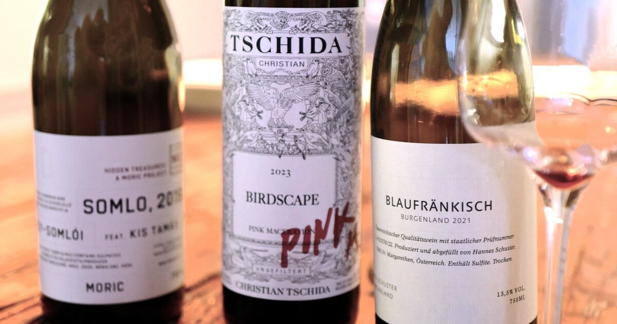 Absage an Billig-Weine: Was genau will „Reimagine Pannonia“?