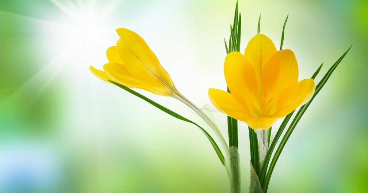 Am 5. März öffnen sich alle Türen