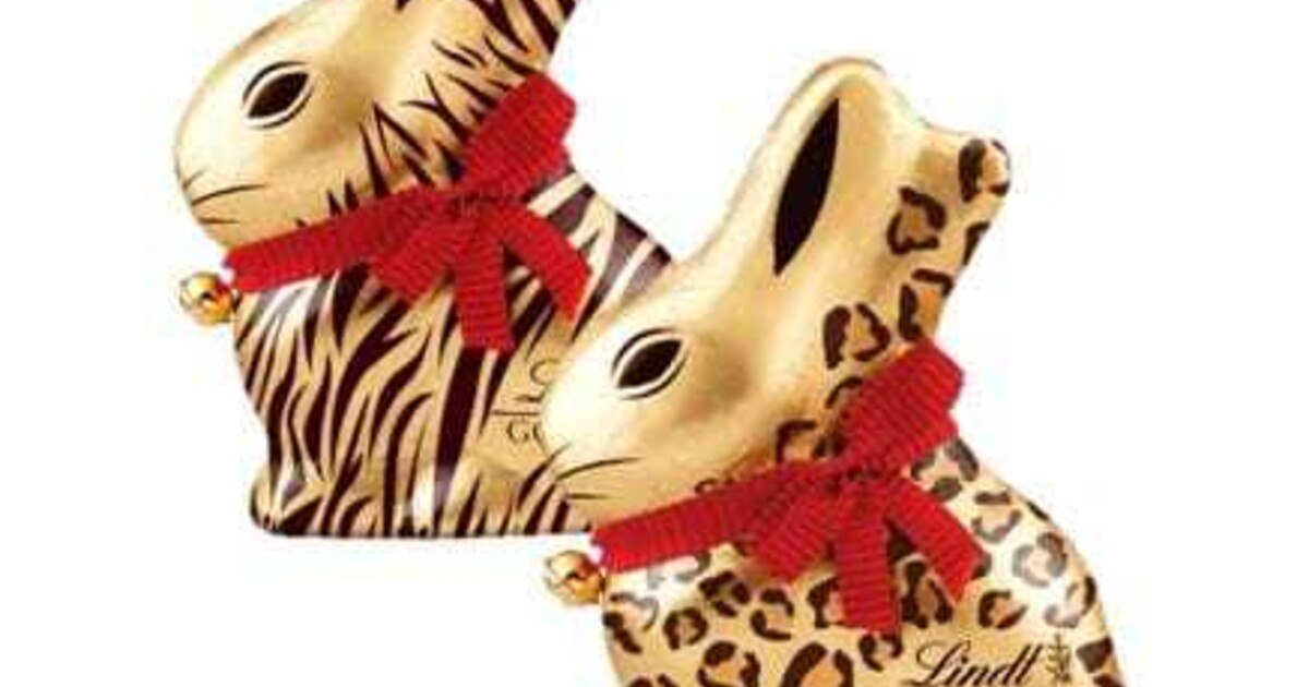 Auf den Hasen gekommen