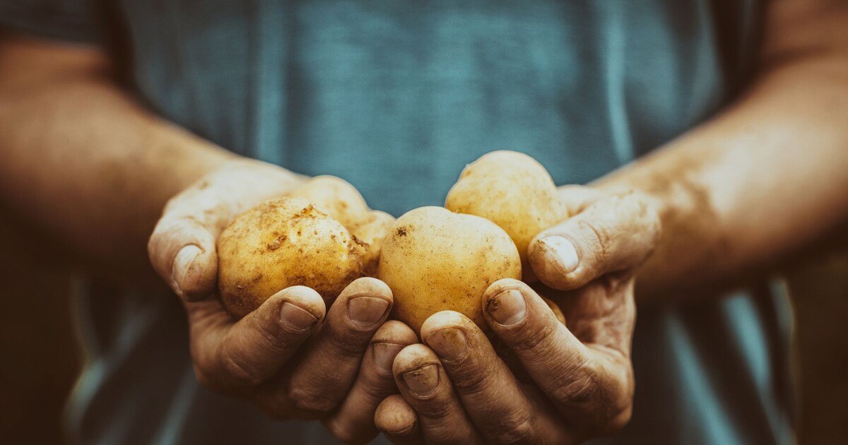 Aviko präsentiert Nachhaltigkeitsbericht