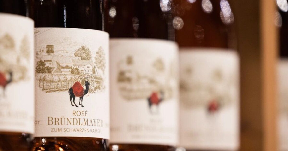 Bründlmayer & Schwarzes Kameel feiern 50er in Rosé