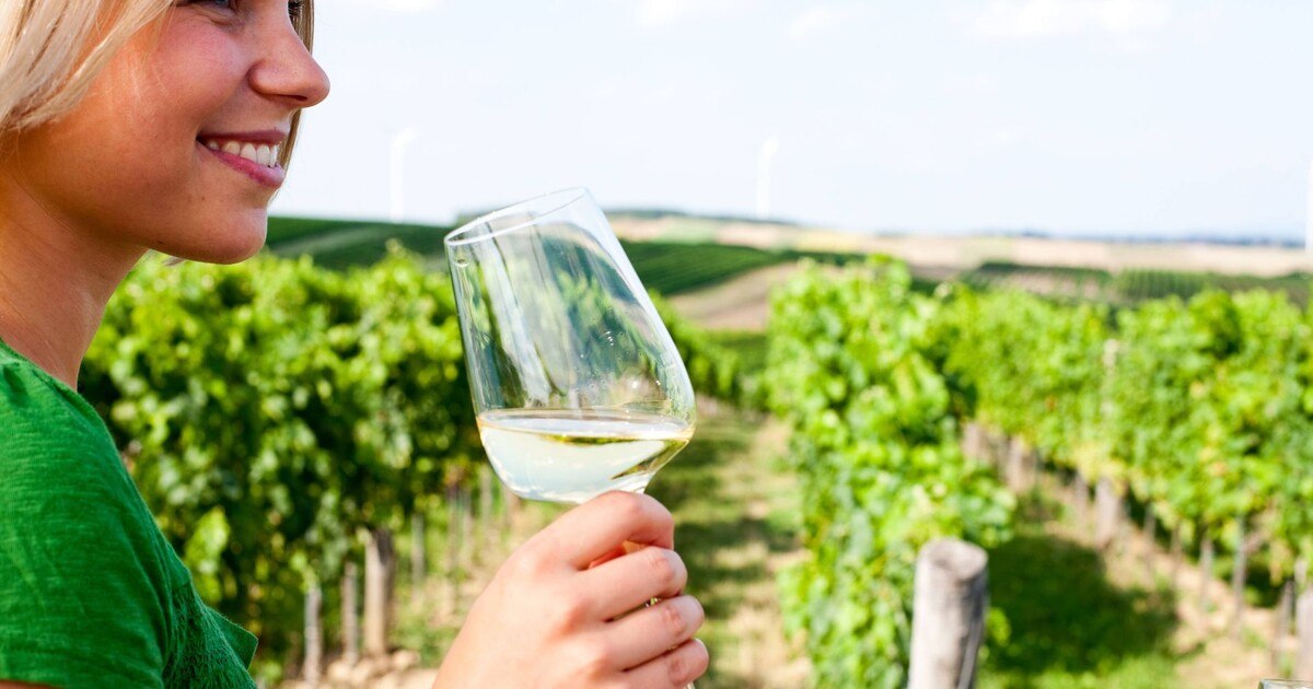 Carnuntum Academy öffnet die Pforten