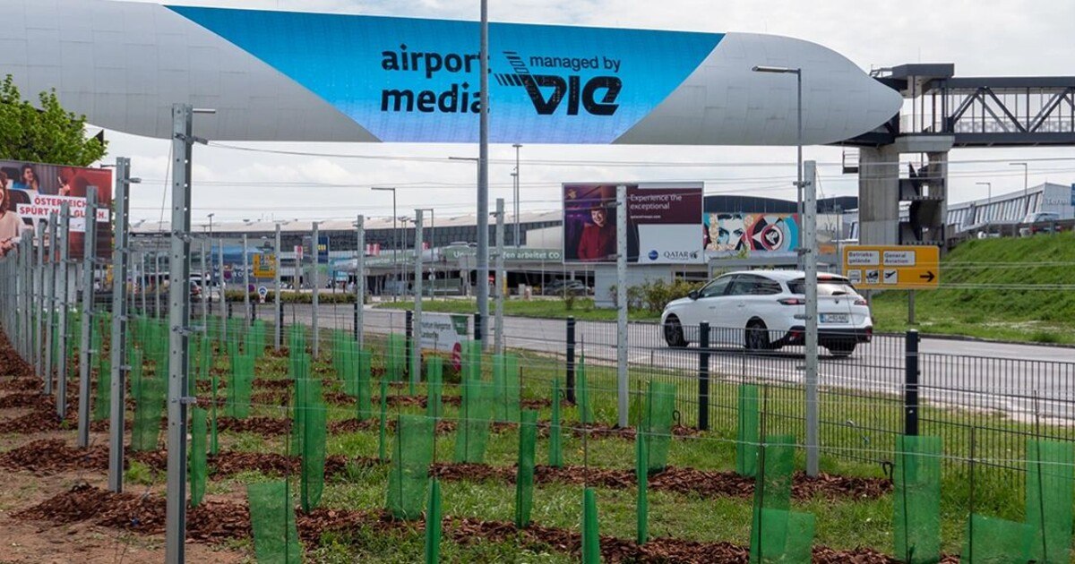 Carnuntum Calling: Weinbau am Flughafen