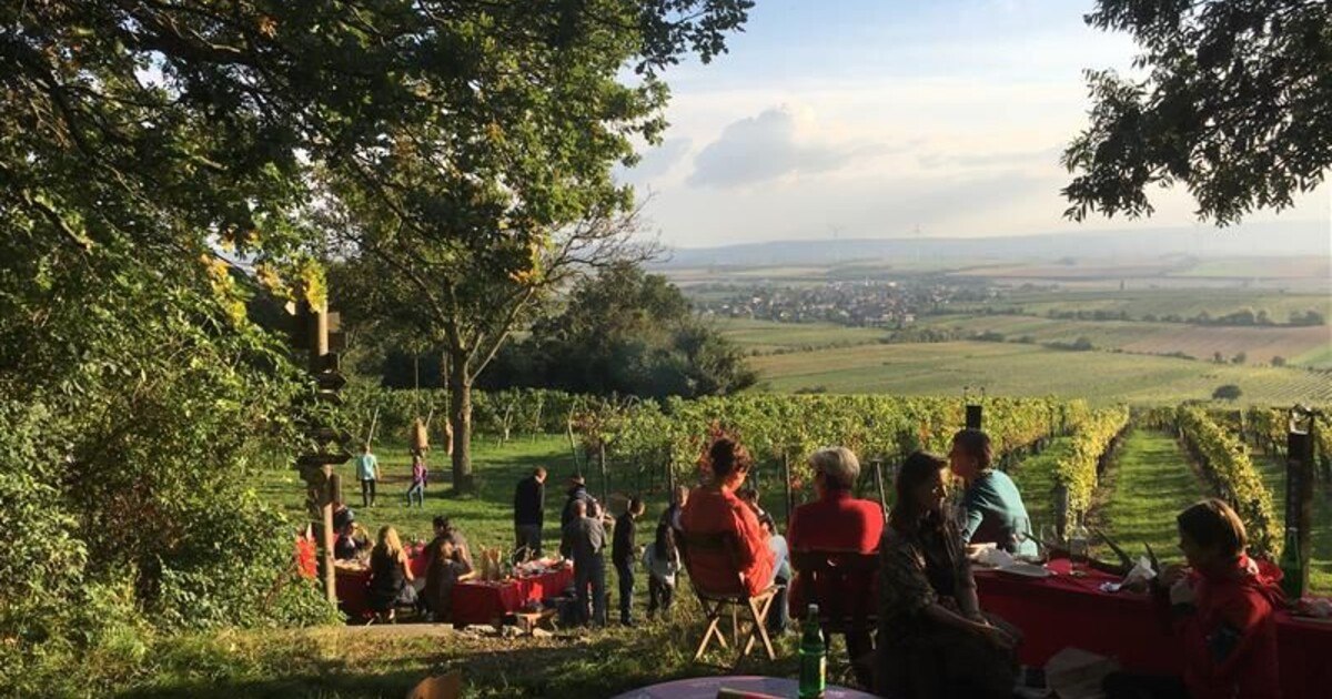 Carnuntum-Winzer laden zu Wein, Wild & Workshops