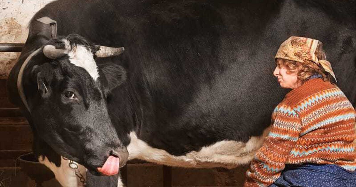 Charisma statt Kurven