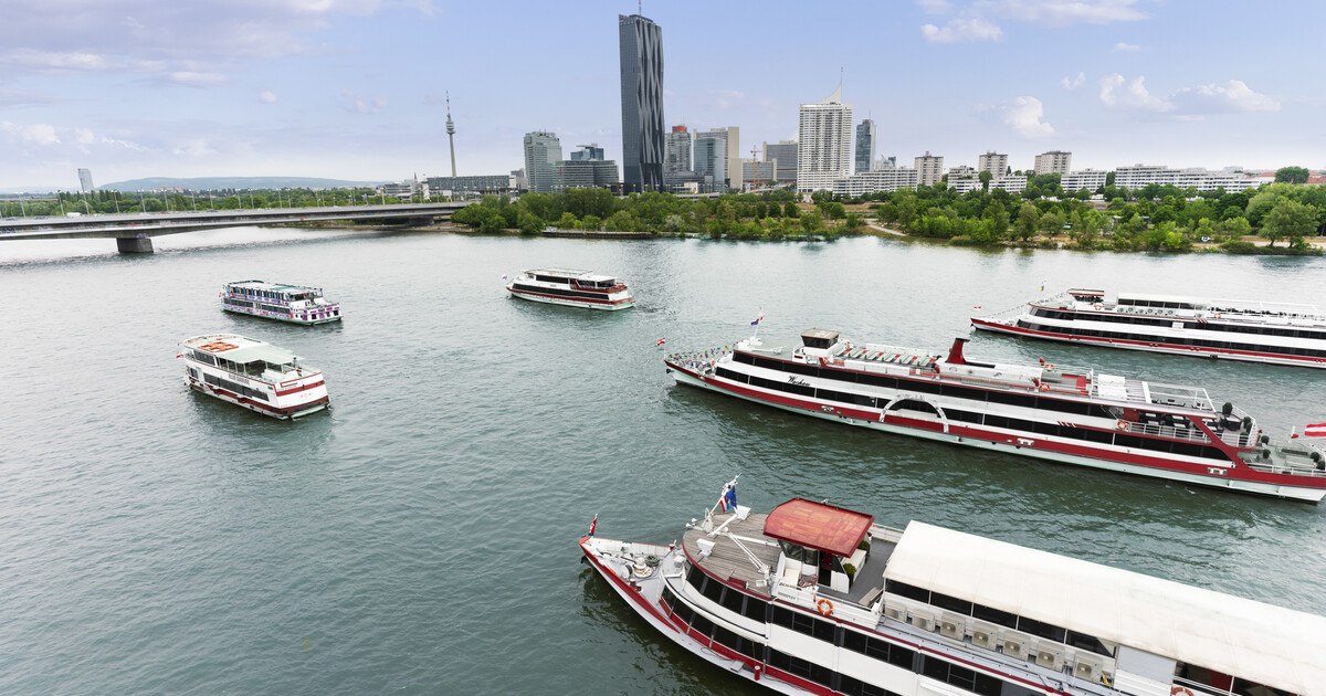 DDSG bilanziert erfolgreich