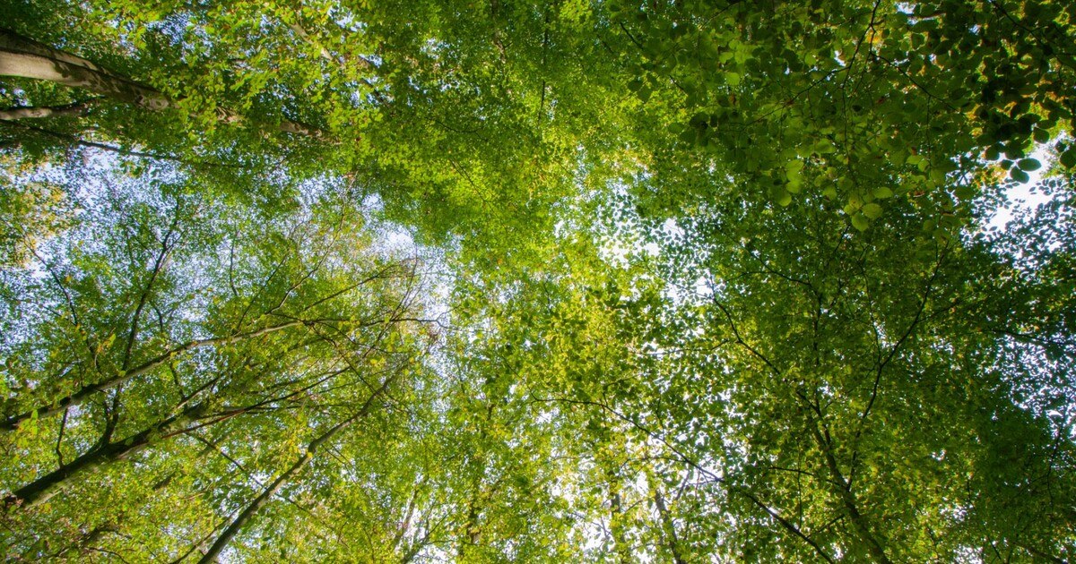 Das Ende der Maßlosigkeit