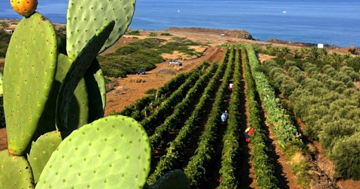 Degustiamo Insieme & Sizilien Seminar