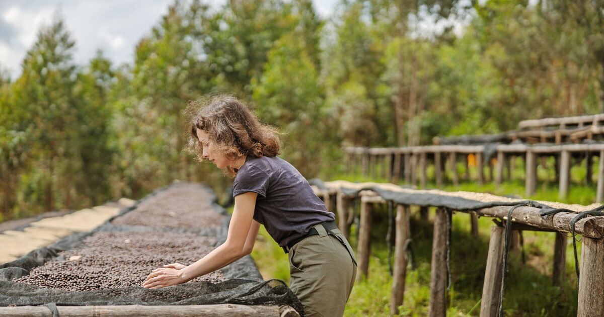 Direct Trade: Kaffeehandel der Zukunft?