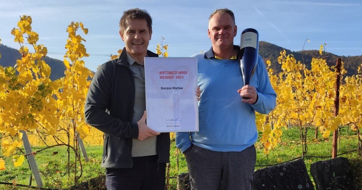 Domäne Wachau ist Weingut des Jahres