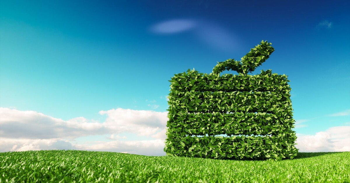 Es gibt Geld für Klimaprojekte