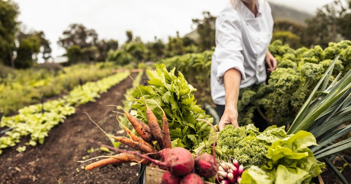 Farm-To-Table-Akademie startet