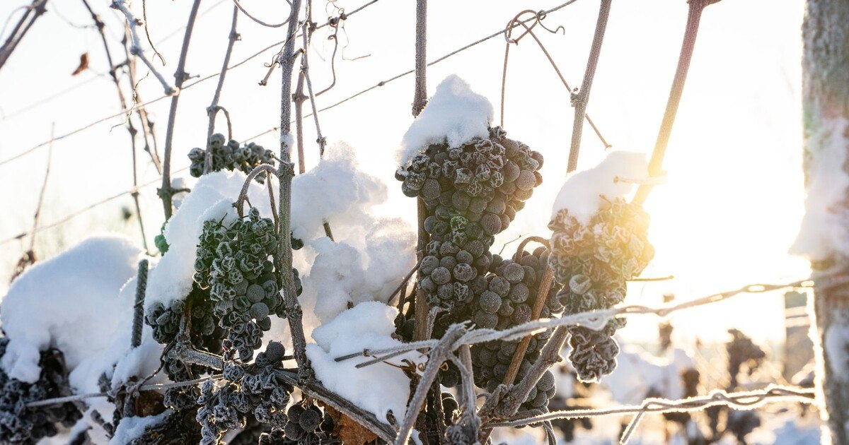 Flüssiges Gold in frostiger Kälte