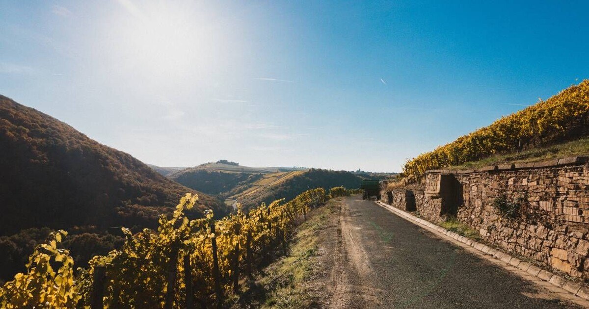 Gut Hermannsberg: Frisch, frech, fabelhaft